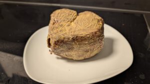 Mustard-coated fillet cooling on a plate